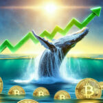 Accumulation Whales Eye Bitcoin Amid Market FUD