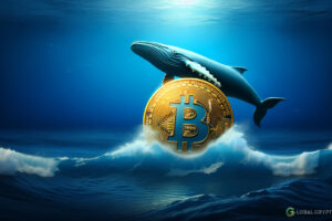 Bitcoin Holds Steady at $60,000 Despite Whales and Geopolitical Tensions