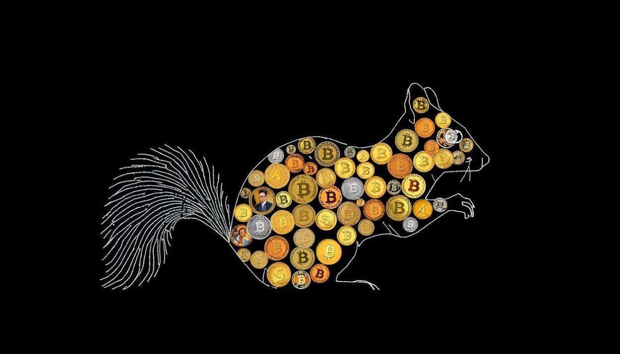 Peanut the Squirrel Meme Coin Surges 2300