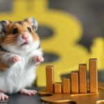 Hamster Kombat Turns to TON Blockchain