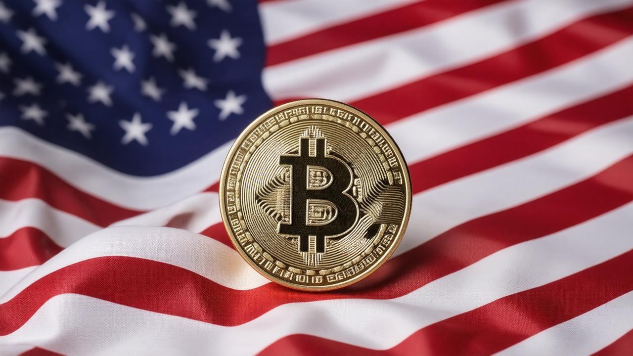US Bitcoin Holdings Outpace Offshore Counterparts