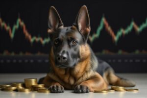 Binance's CZ Mulls Meme Coin Based on His Dog