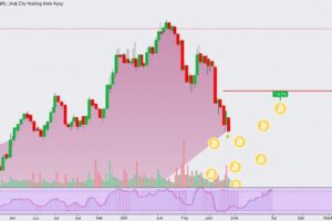 Bitcoin and Altcoins Market Analysis