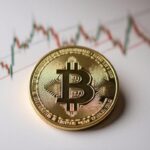 Bitcoin Price Falls Amid Regulatory Concerns