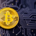 Bitcoin's Potential Future and National Wealth