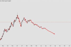 Cardano's Price Drops Below Key Support Levels