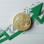 Pepe Price Rises as Whales Accumulate 170 Billion Tokens
